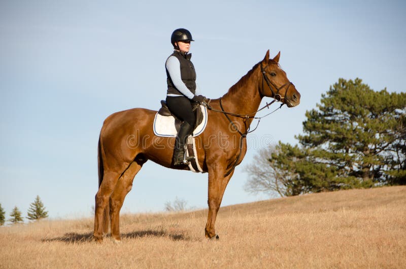 Horse riding in field