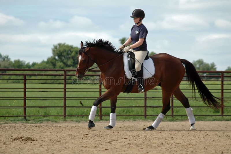 Horse riding lesson