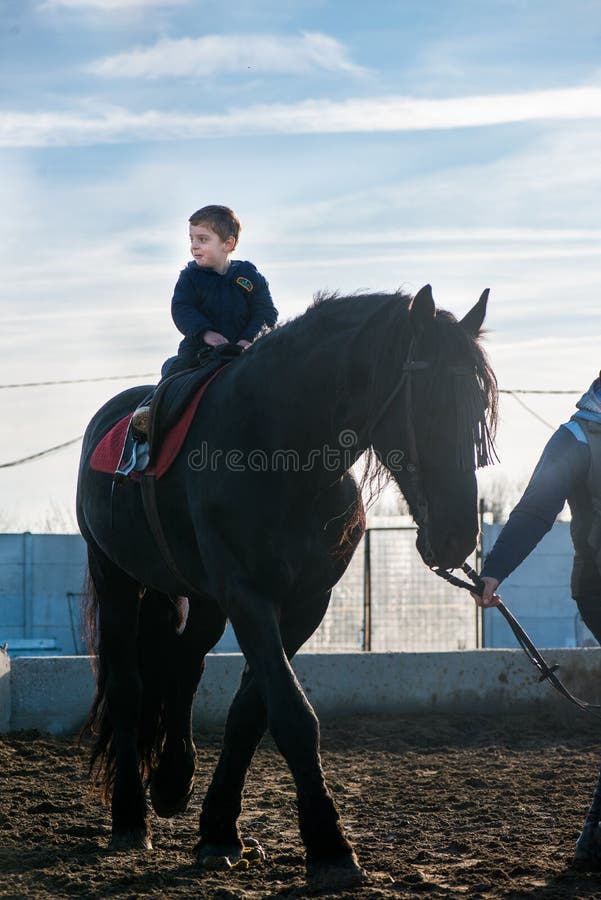 Little Boy Riding Big Horse Stock Photos Free & RoyaltyFree Stock