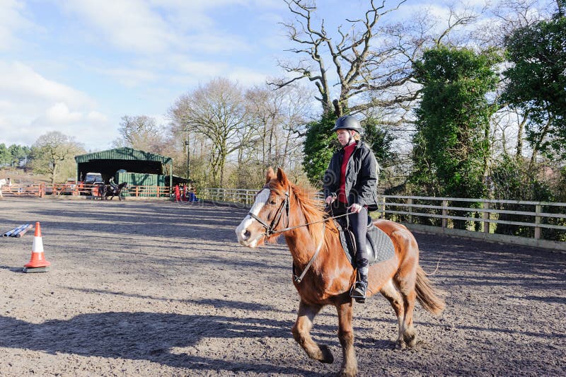 Horse riding at paddock stock photo. Image of farm, active 60727332