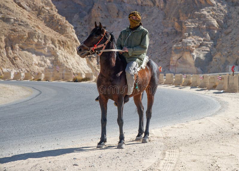 Horse Riding on the Road in Jordan Editorial Photo Image of field
