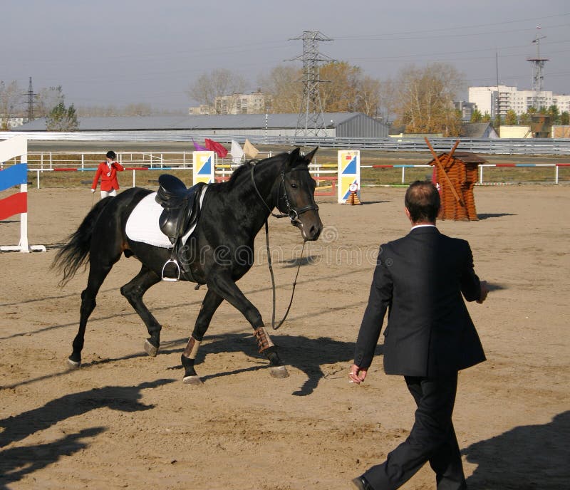 A horse running away after a sportsman fell off