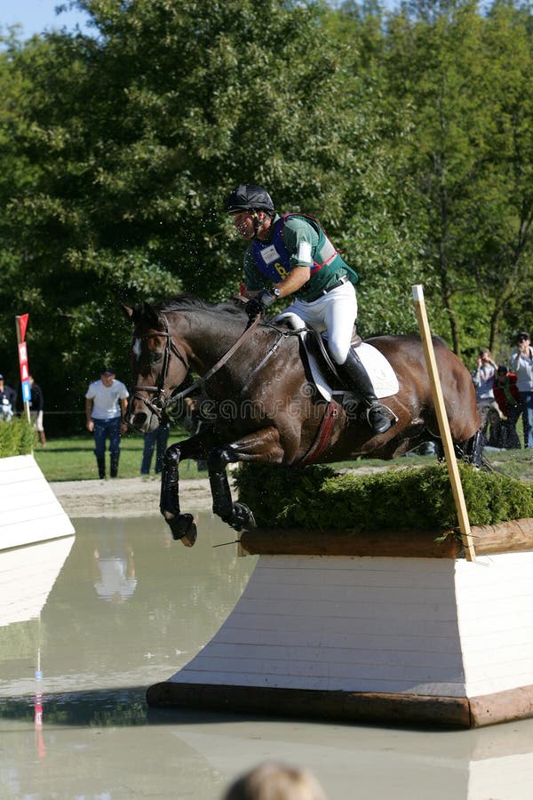 Horse Running in a Competition Editorial Photo Image of geneva, grass