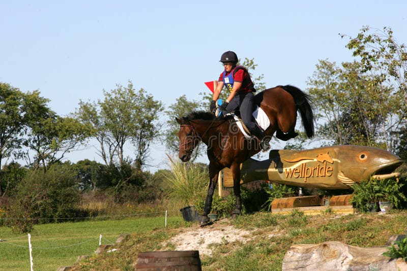 Horse Running in a Competition Editorial Photography Image of jumping