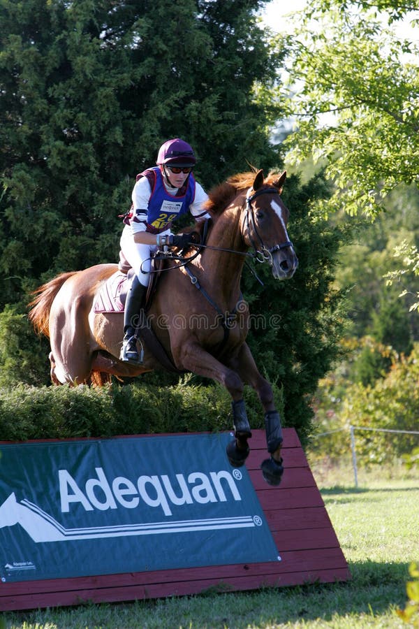 Horse Running in a Competition Editorial Stock Photo Image of