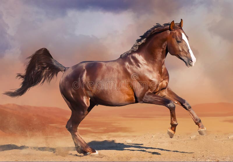 Horse running in the desert