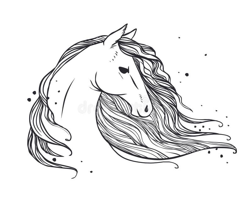 Horse`s head with long wavy mane.