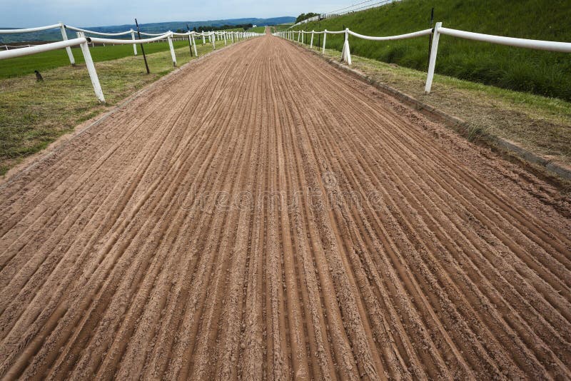 Horse Sand Training Track Stock Photos Image 27888233