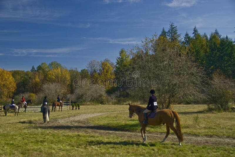 Horse Show Pasture Field