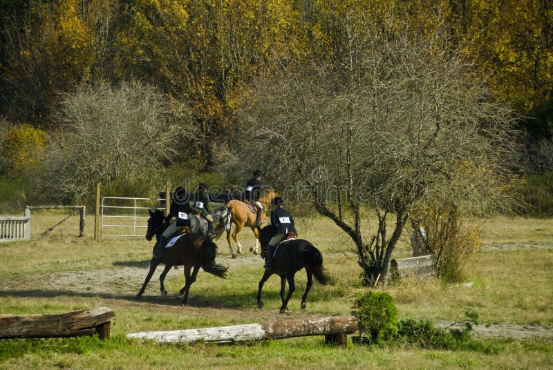 Horse Show Pasture Field