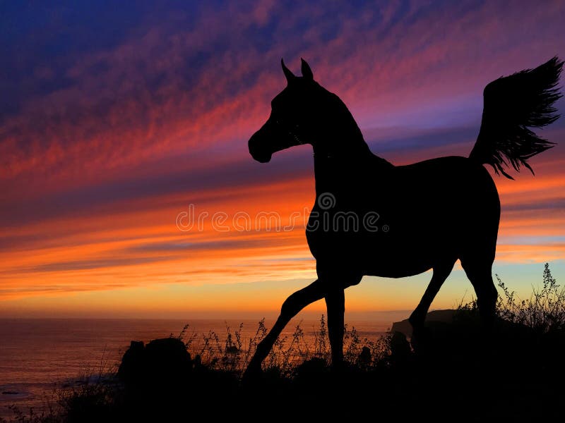 Horse Silhouette Sunset stock photo. Image of orange 85448670