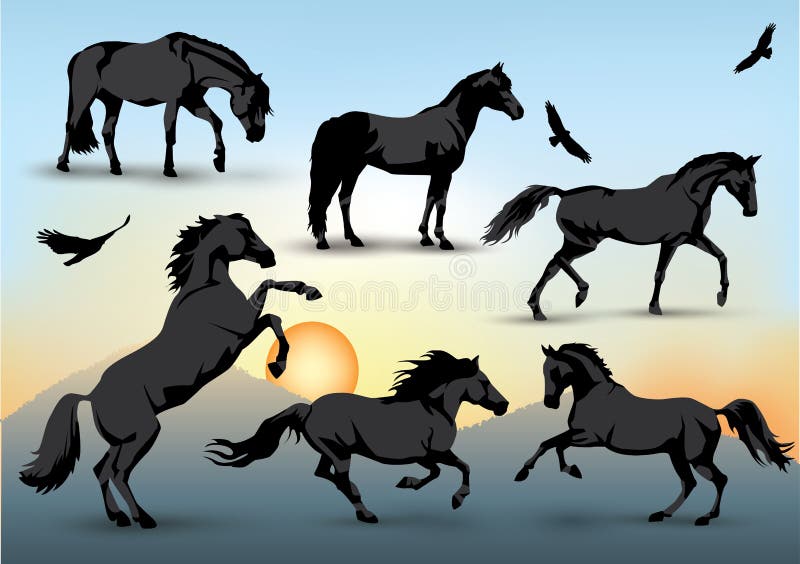 Horse silhouettes