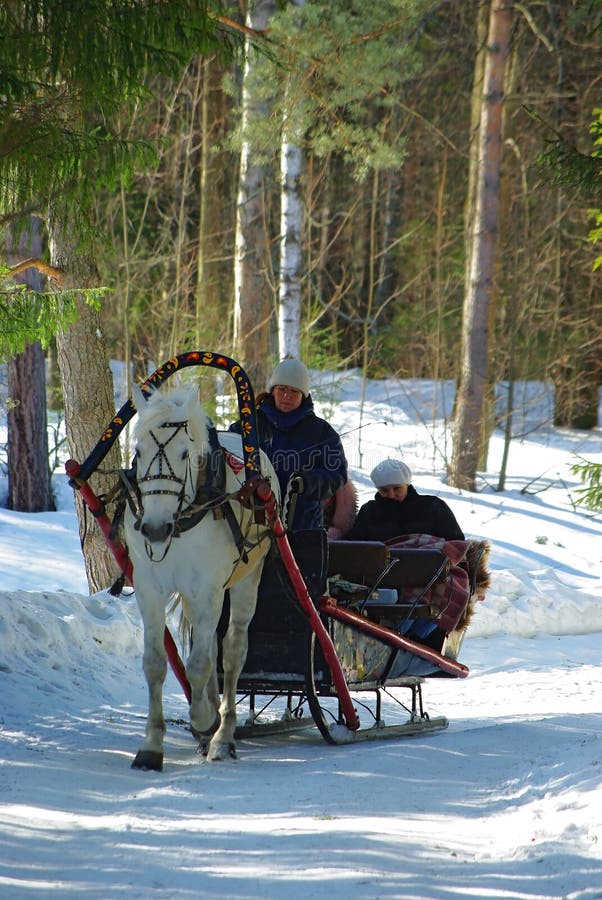 Horse sledge