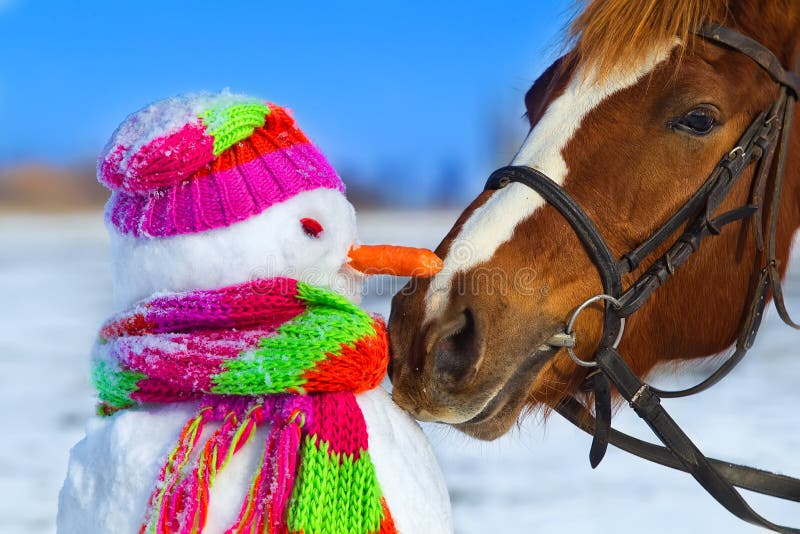 Horse and snowman