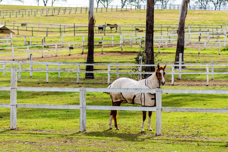 Stud Horse Point, Glen Canyon National Recreation Area Stock Image