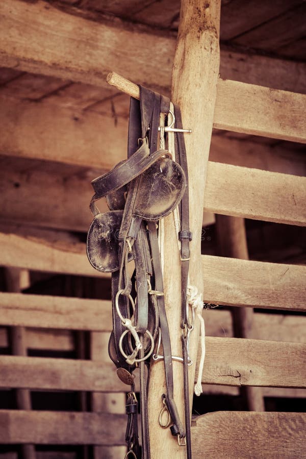 Horse Tack Hanging in Dusty Barn Stock Image Image of farm, gate