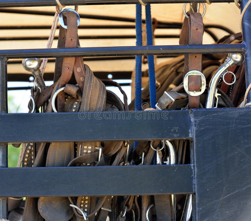 Horse Tack in a Stock Trailer Stock Photo Image of straps, hooks