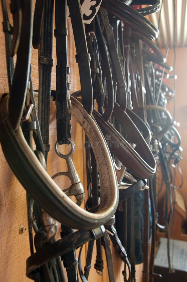 Horse tackle in sunlight stock image. Image of riding 11164985