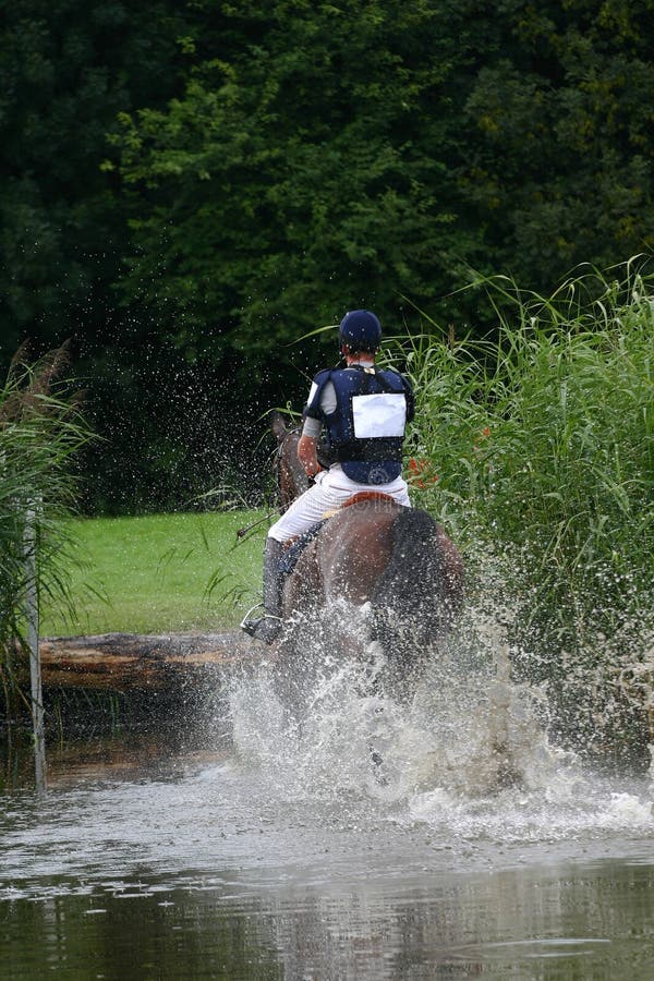 Horse Jump stock image. Image of backside, jump, sport 3483315