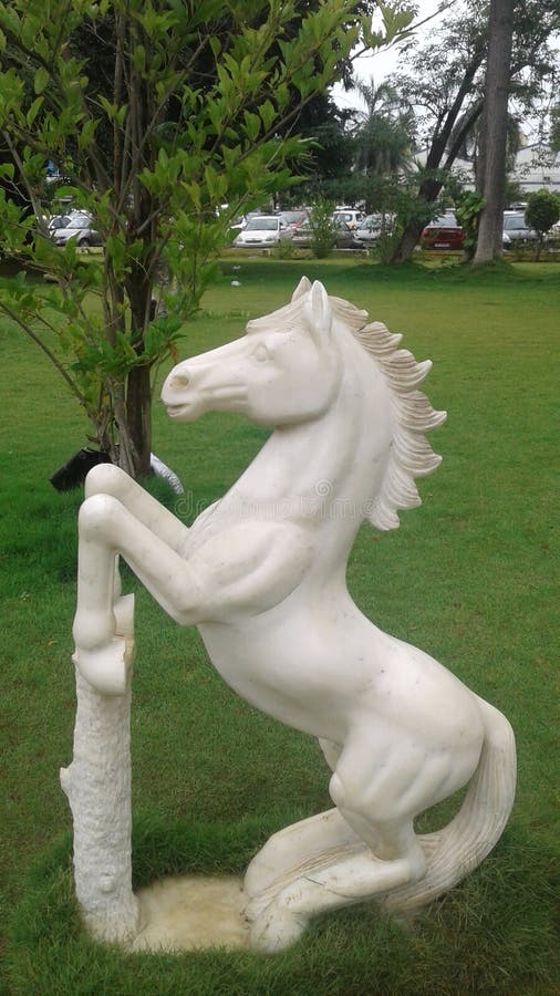 Horse editorial stock image. Image of chennai, white 123511519