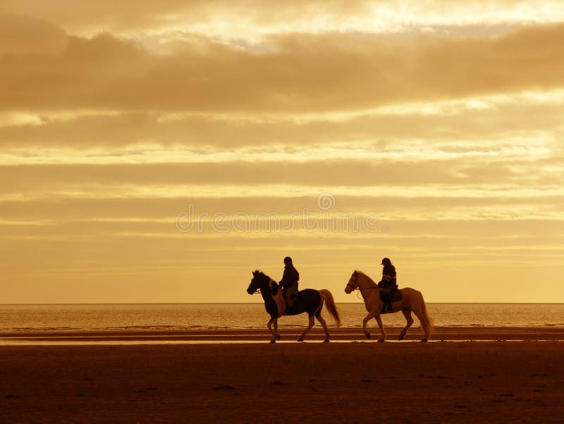 Riders on Horseback in Sunset royalty free stock photography Riders on Horseback in Sunset royalty free stock photography