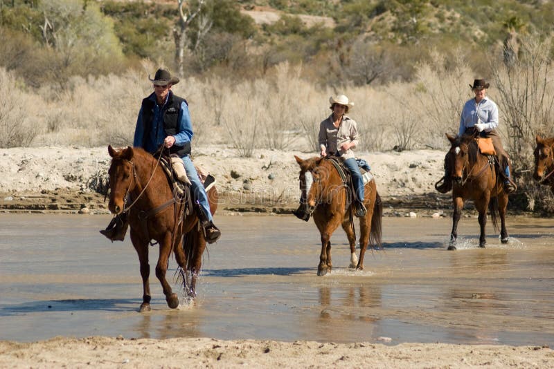 Horseback het Berijden in de Woestijn stock afbeelding Horseback het Berijden in de Woestijn stock afbeelding