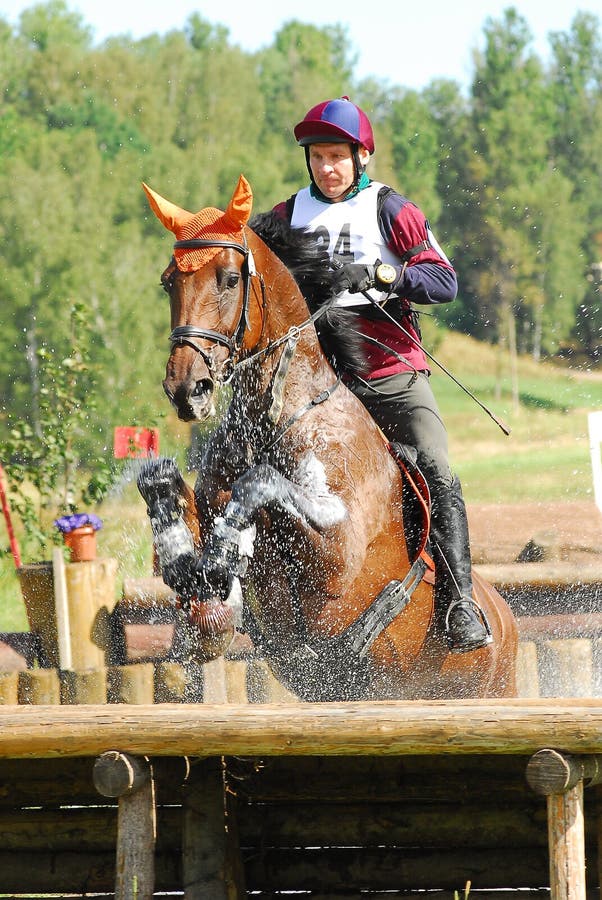 Horseback Jumping in Water Drops Editorial Stock Image Image of rider