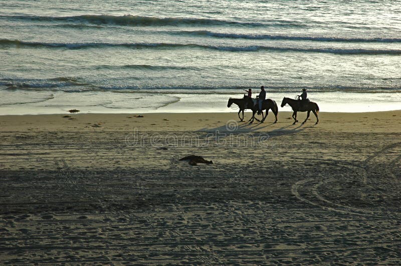 Horseback Riders royalty free stock photos