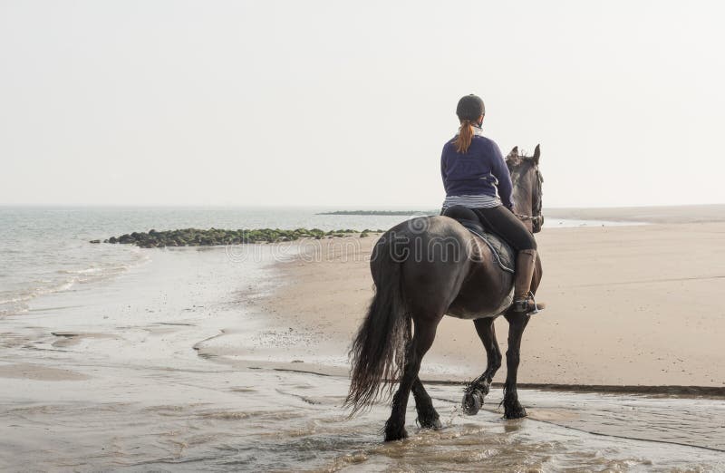 Horseback riding on the beach early in the morning royalty free stock photo Horseback riding on the beach early in the morning royalty free stock photo