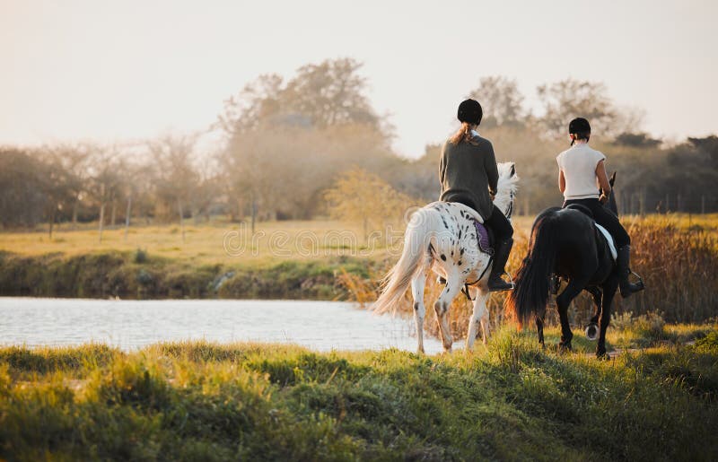 Horseback riding, freedom and friends in nature by the lake during a summer morning with a view. Countryside, equestrian