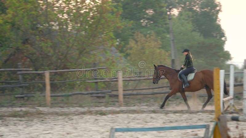 Mulher-cavalo Cavalgando a Cavalo Marrom E Pulando a Cerca Na Arena De  Sandy Parkour Salto De Treinamento Competitivo Filme - Vídeo de cantor,  mostra: 160093714