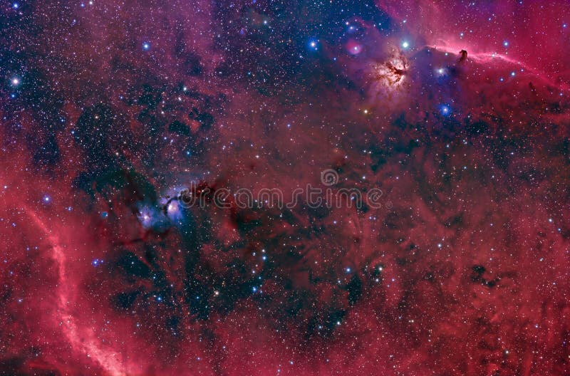 Horsehead, llama y M78 en Orion foto de archivo Horsehead, llama y M78 en Orion foto de archivo