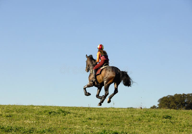Horseman galloping