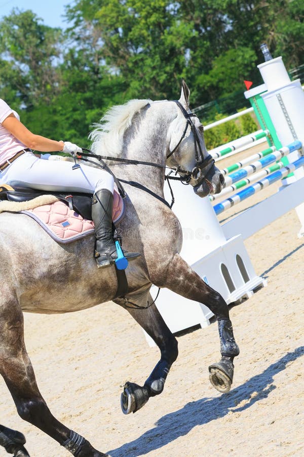Horseman rides a gray horse in competition of showjumping royalty free stock photography Horseman rides a gray horse in competition of showjumping royalty free stock photography