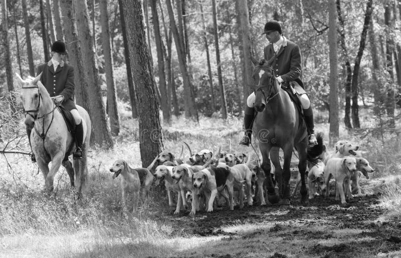 Hunting Horsemen with English Pointer dogs in action