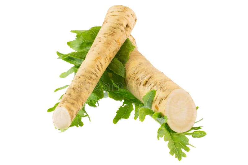 Horseradish and Radish Leaves Stock Image Image of fresh, background
