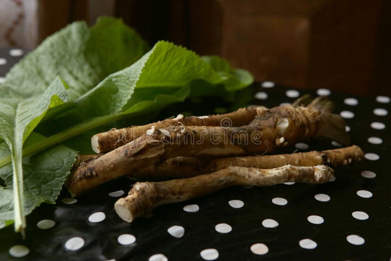 Horseradish Root and Leaves on Table. Stock Image Image of leaf