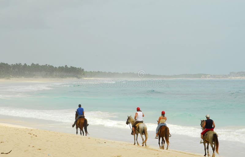 Horses on the beach