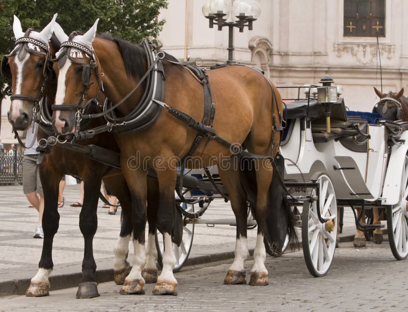 Horses and carriage in Prague