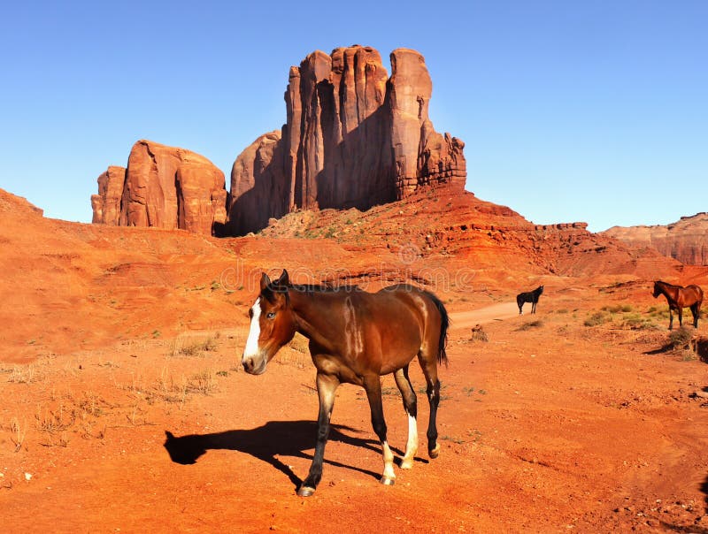 Horse Monument Valley, Desert Landscape