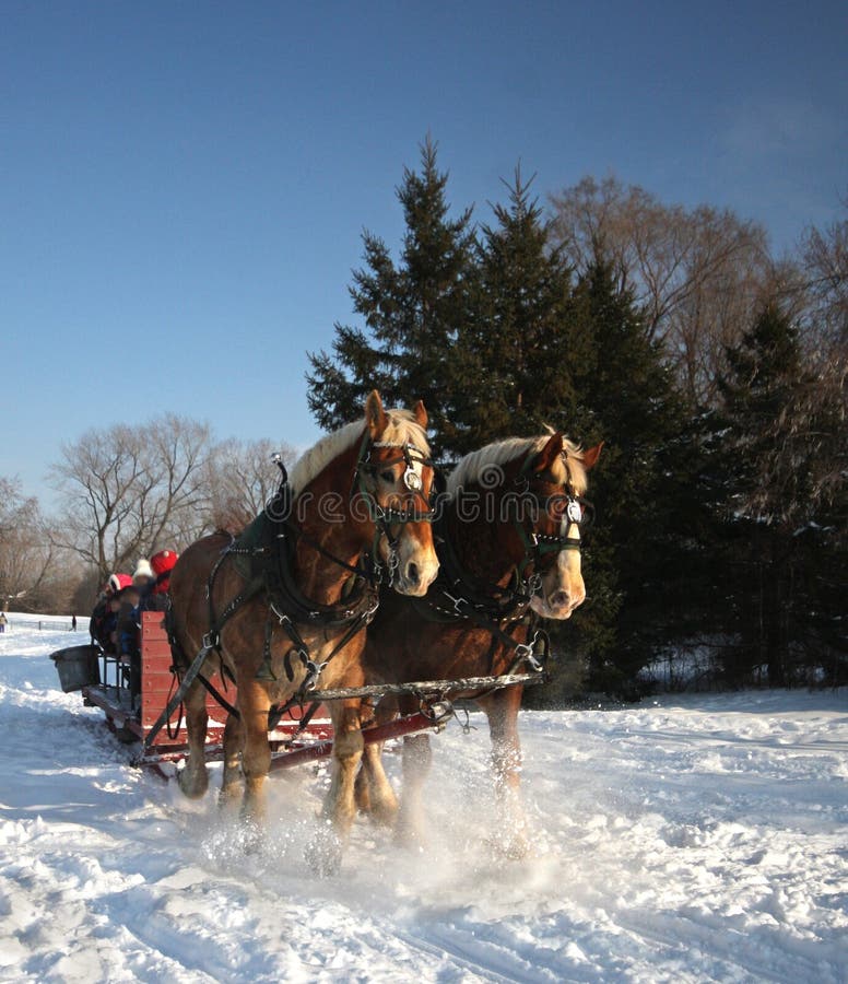 Winter Landscape with Horse-Drawn Sleigh Stock Photo - Image of ...