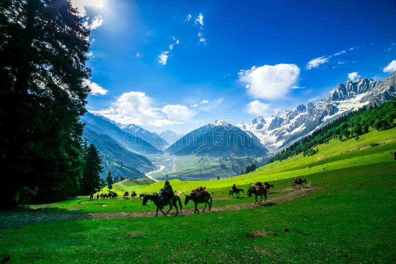 44,167 Kashmir Stock Photos - Free & Royalty-Free Stock Photos from  Dreamstime