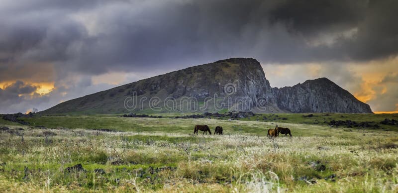 Oscuro nubes superior caballos apacentar lejos cálido,, en distancia.