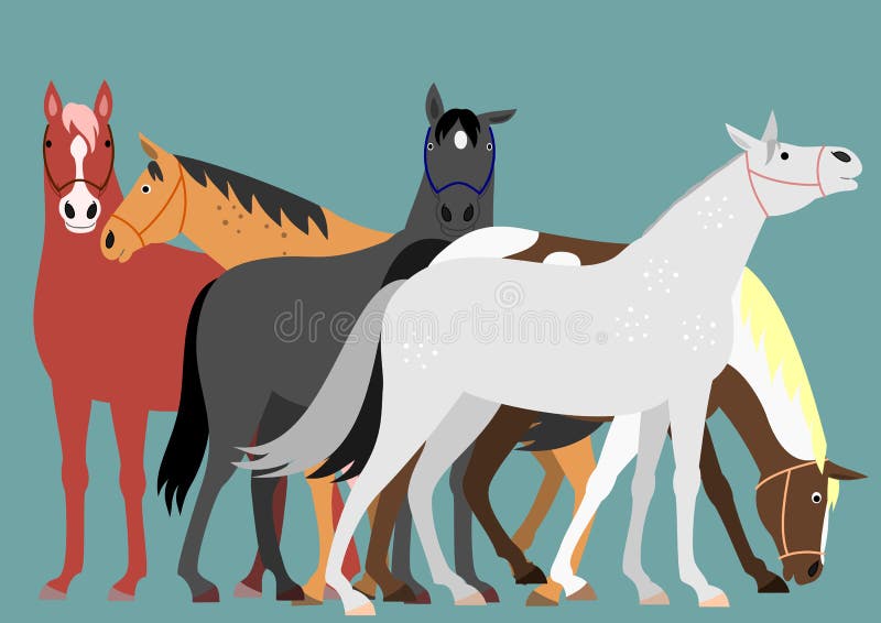 Various Horses Lining Up in Height Order Stock Vector Illustration of