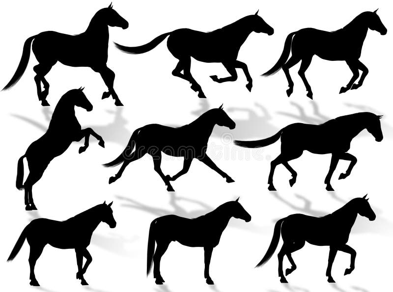 Horses silhouettes