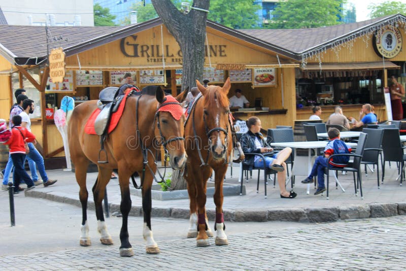 Horses on the Street in Odessa Editorial Photography Image of transport, cityscape 69110227