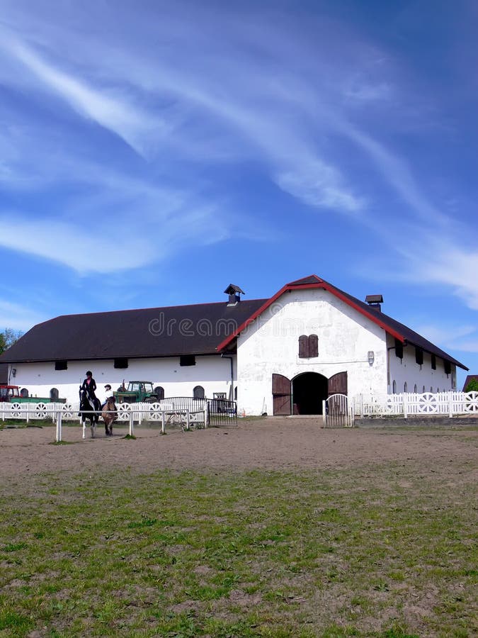 Horses' stud farm