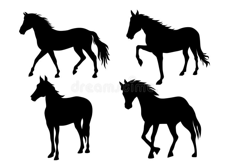 Horses Vector Illustration Isolated on White Background. Stock Vector -  Illustration of face, action: 216863162