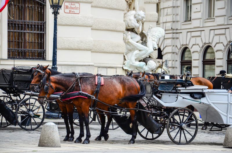 Horses in Vienna, Austria stock image. Image of driven 73924189