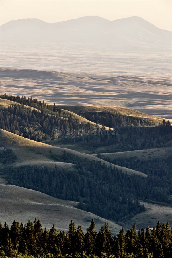 Horseshoe Canyon Alberta Canada Stock Photo Image of horizontal